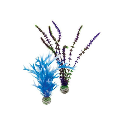 Biorb Easy Plant Blue/Purple Pack Medium (2 plants)