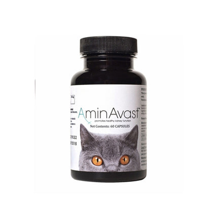 AminAvast Kidney Support for Cats (60 capsules)