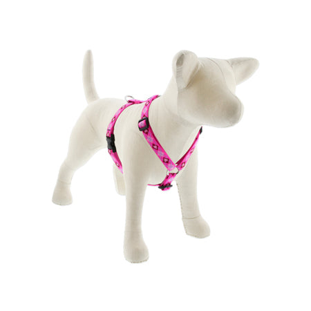 3/4in Puppy Love 20-32 Roman Hrns