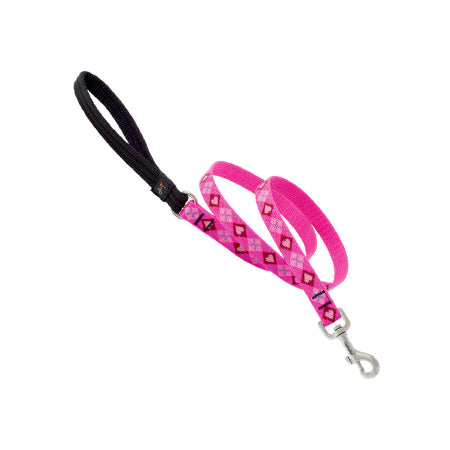 3/4in Puppy Love 4ft Leash