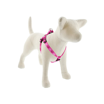 3/4in Puppy Love 20-30 Step In Hrns