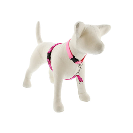 3/4in Puppy Love 16-26 No Pull Hrns