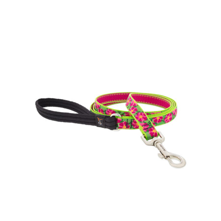 3/4in Petunias 6ft Leash