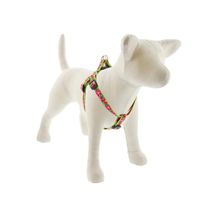 3/4in Petunias 15-21 Step In Hrns