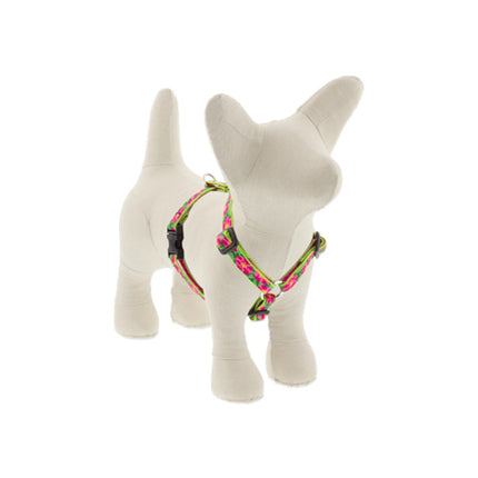 1/2in Petunias 9-14 Roman Hrns