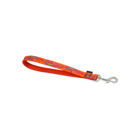 3/4in Go Go Gecko Training Tab