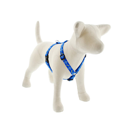 3/4in Dapper Dog 14-24 Roman Hrns