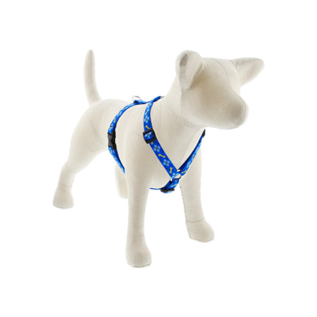 3/4in Dapper Dog 14-24 Roman Hrns