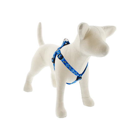 3/4in Dapper Dog 20-30 Step In Hrns