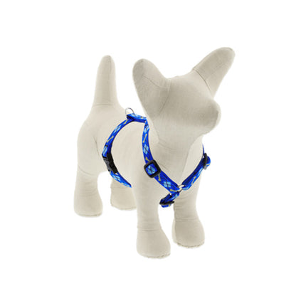 1/2in Dapper Dog 9-14 Roman Hrns