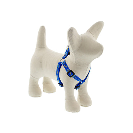 1/2in Dapper Dog 12-18 Step In Hrns