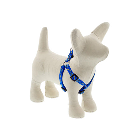 1/2in Dapper Dog 12-18 Step In Hrns