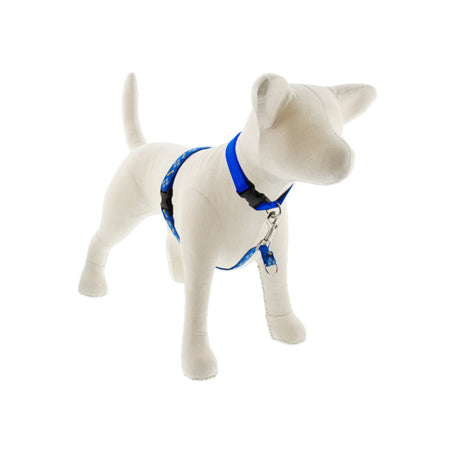 3/4in Dapper Dog 16-26 No Pull Hrns