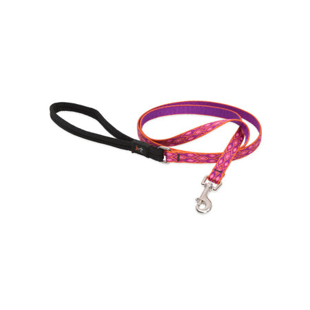 1/2in Alpen Glow 6ft Leash