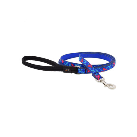 1/2in Social Butterfly 4ft Leash