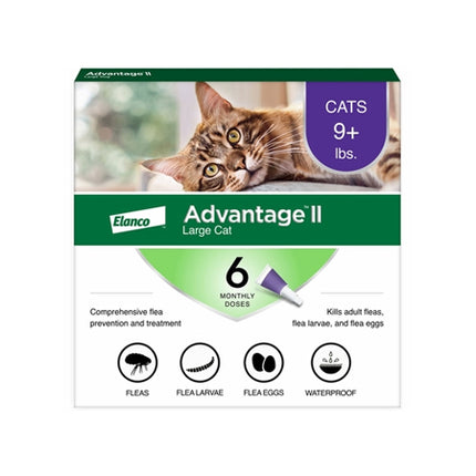 6 Month Advantage II Flea Control Large Cat (For Cats over 9 Lbs) Purple