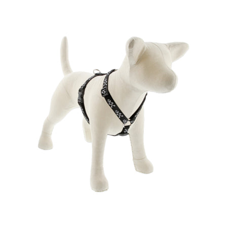 3/4in Bling Bonz 14-24 Roman Hrns