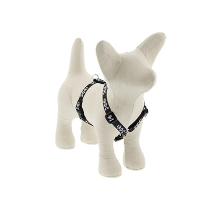 1/2in Bling Bonz 12-20 Roman Hrns