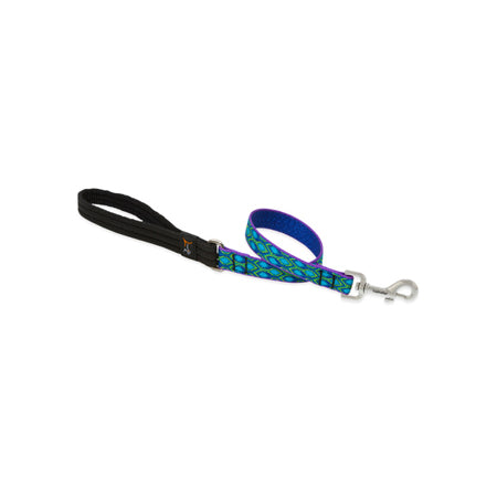 3/4in Rain Song 2ft Leash