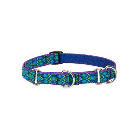 3/4in Rain Song 14-20 Martingale