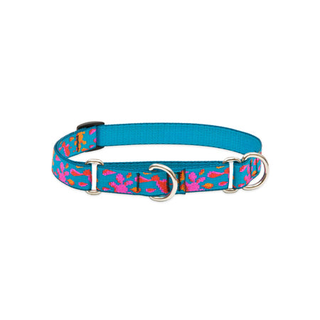 3/4in Wet Paint 14-20 Martingale