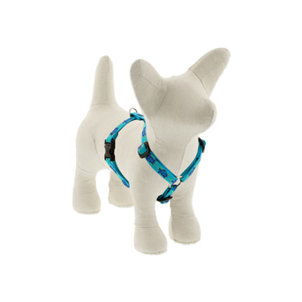 1/2in Turtle Reef 12-20 Roman Hrns