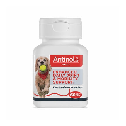 Antinol Plus Mobility, Hip, and Joint Supplement for Dogs, 60 Soft Gels