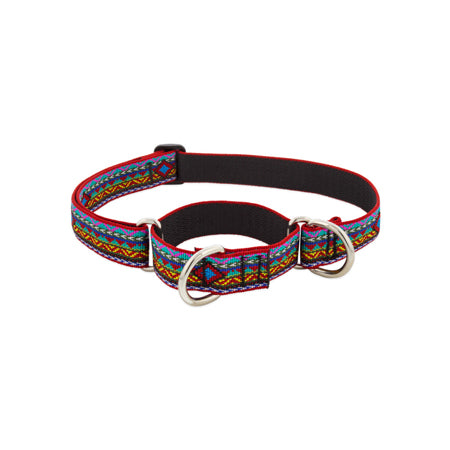 1in El Paso 19-27 Martingale