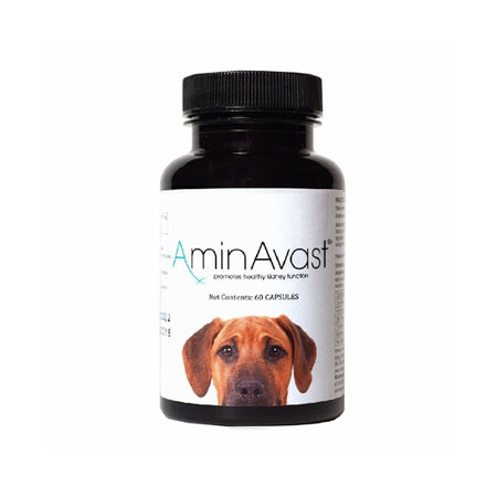 Aminavast Kidney Support for Dogs (60 Capsules)