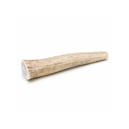 Spizzles Elk Antler Dog Chew - Solid (Small) 4"