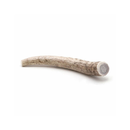 Spizzles Elk Antler Dog Chew - Solid (Medium) 5"