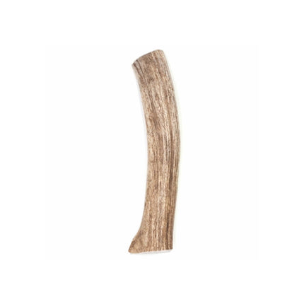 Spizzles Elk Antler Dog Chew - Solid (XLarge) 8"