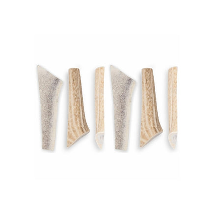 6-PACK Spizzles Elk Antler Dog Chew - Split (Medium) 5"