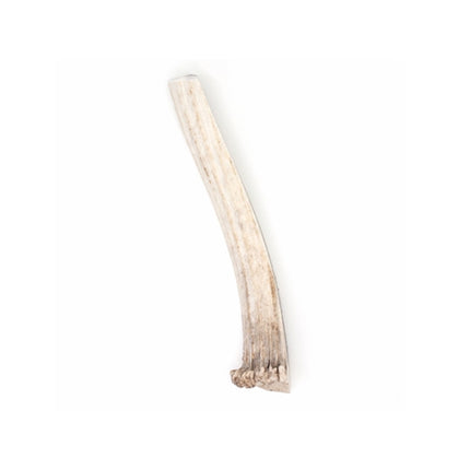 Spizzles Elk Antler Dog Chew - Split (XLarge) 8"