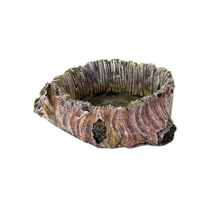 BioBubble Decorative Stump Bowl - Large (3.75" x 3.75" x 1.35")
