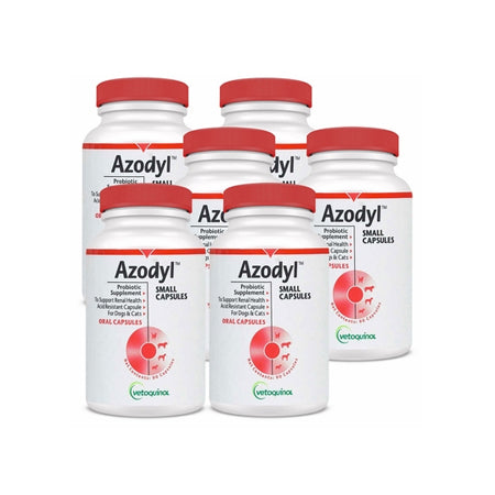 6-PACK Azodyl Small Caps (540 count)
