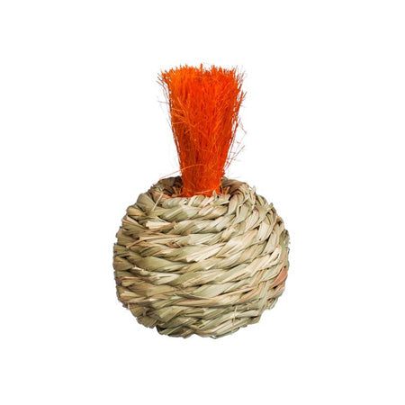 Prevue Pet Products Grassy Nibblers Squash - 1080