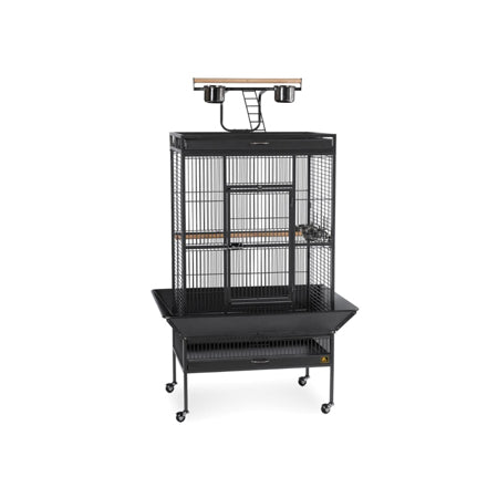 Large Select Wrought Iron Play Top Bird Cage - Coco Brown