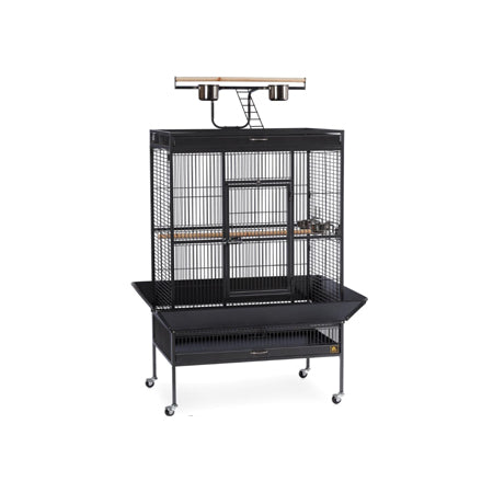 Select Wrought Iron Play Top Parrot Cage - Black