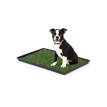 Tinkle Turf - Small