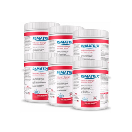6-PACK ReMATRIX Soft Chews (720 Chews)