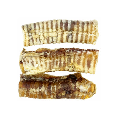 Spizzles Beef Trachea 6" (3-PACK)