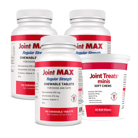 3-PACK Joint MAX Regular Strength (540 Chewable Tablets) + FREE Joint Treats Minis