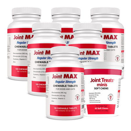 6-PACK Joint MAX Regular Strength (1080 Chewable Tablets) + FREE Joint Treats Minis